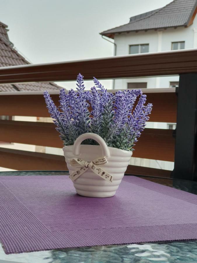 Zlatibor Hills Lara Aparthotel Екстериор снимка
