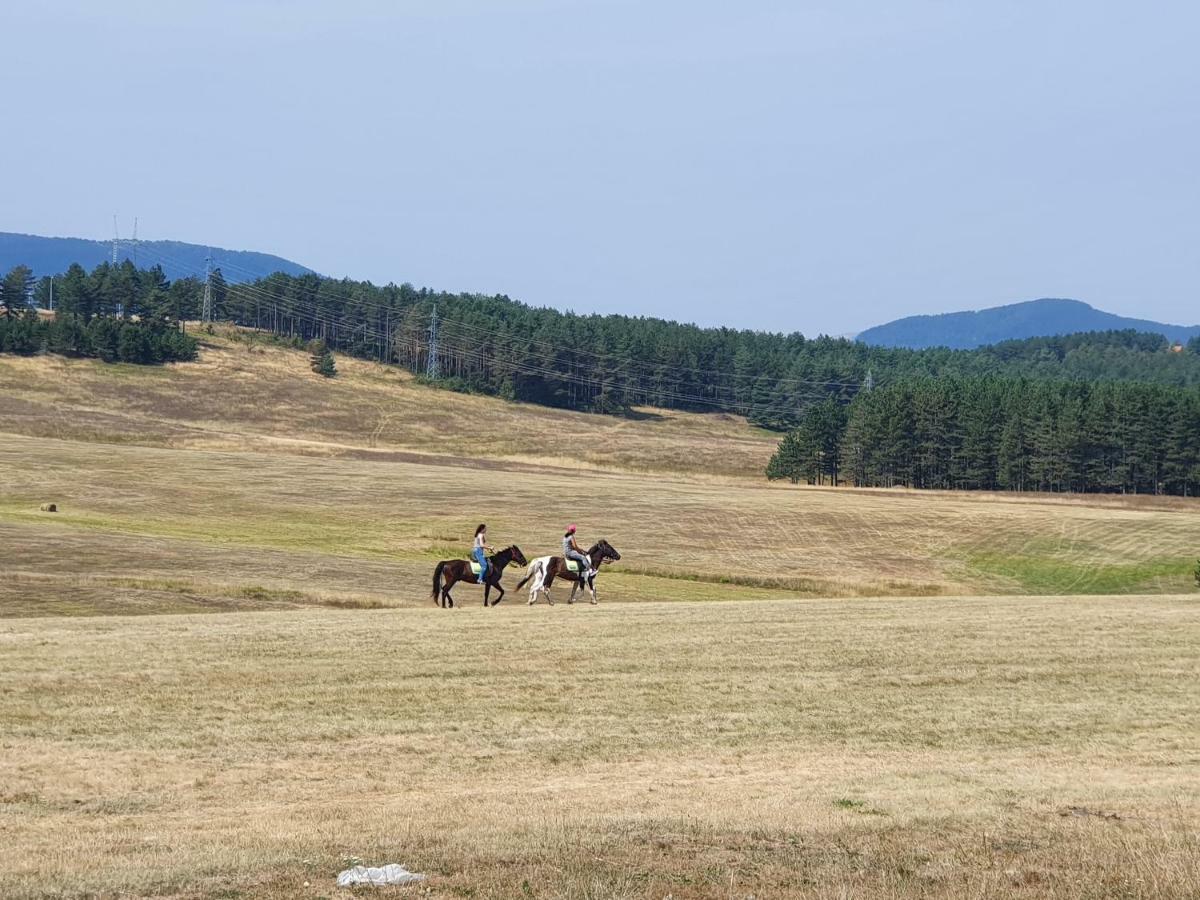 Zlatibor Hills Lara Aparthotel Екстериор снимка